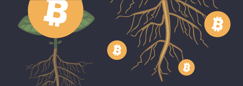 bitcoin taproot illustration